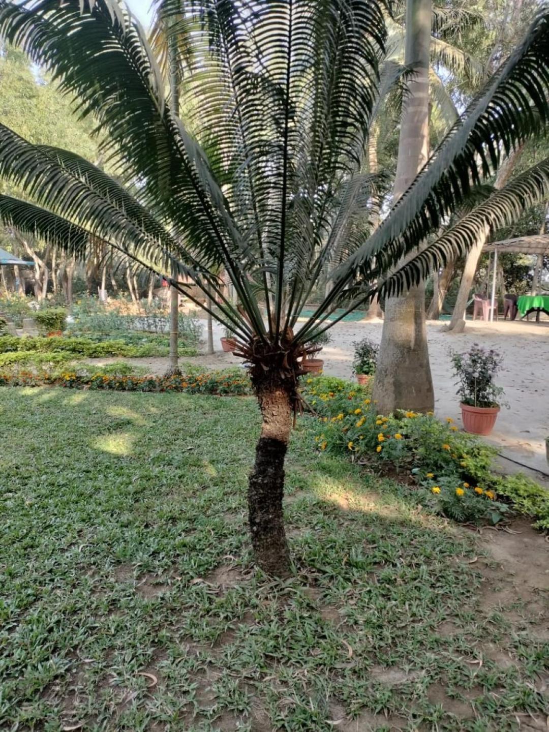 Lucky Beach Resorts , Balasore Чандипур Екстериор снимка